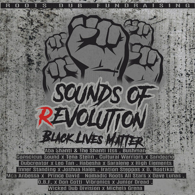 Various Artists - Sounds of (R)Evolution