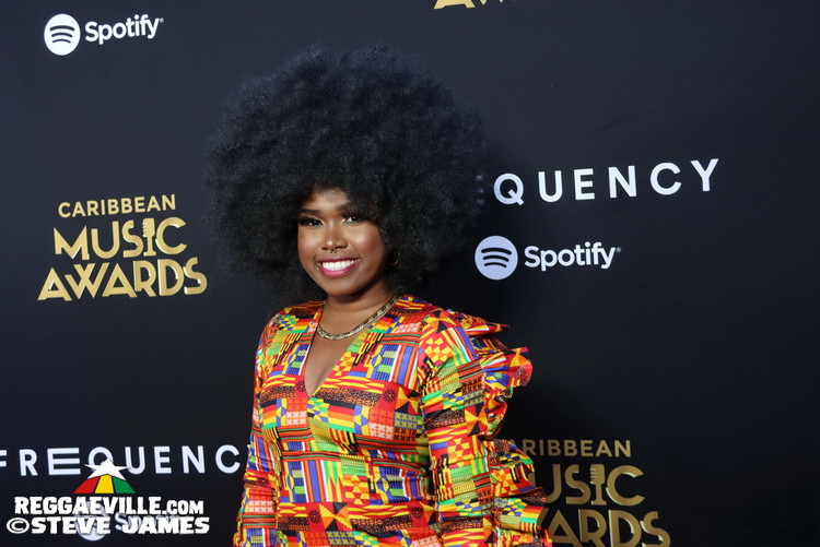 Red Carpet with Alison Hinds, Cham, Marlon Asher, DJ Cassidy...