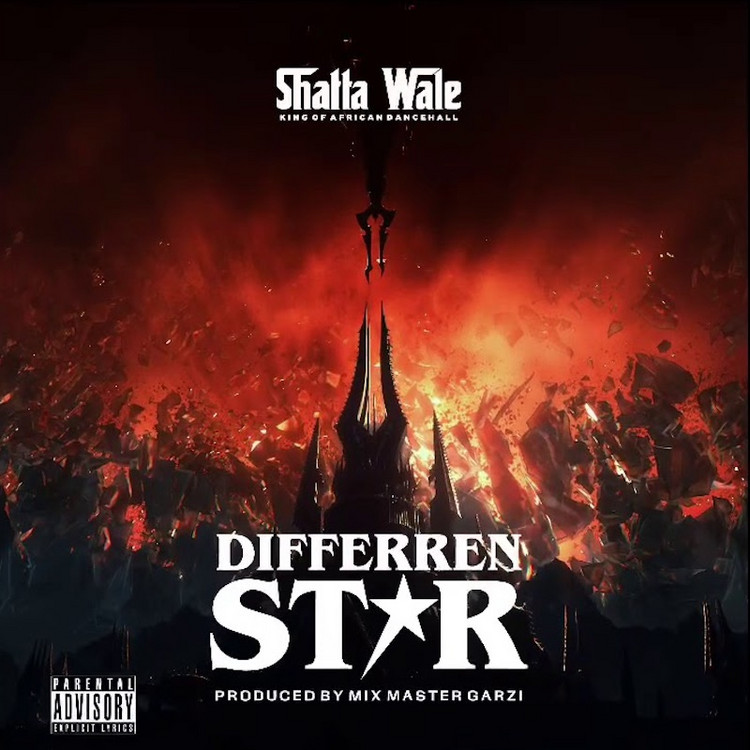 Shatta Wale - Different Star