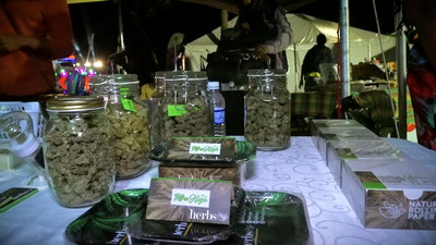 Rebel Salute 2025 - Herb Curb (Trailer)