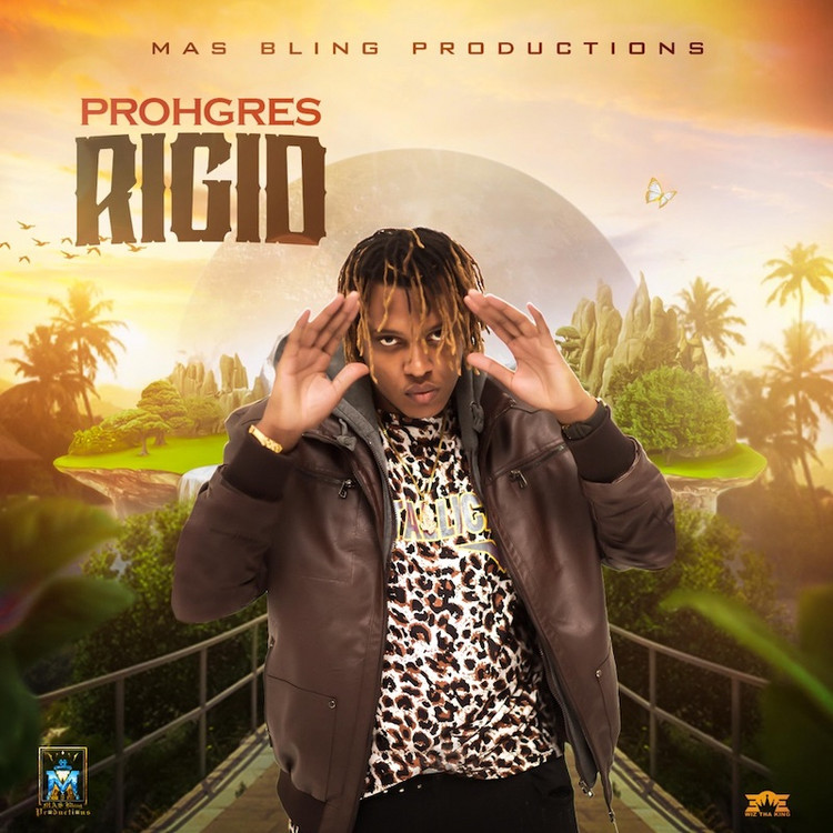 Prohgres - Rigid