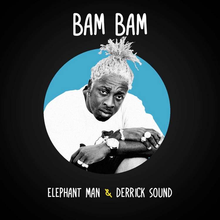 Elephant Man & Derrick Sound - Bam Bam