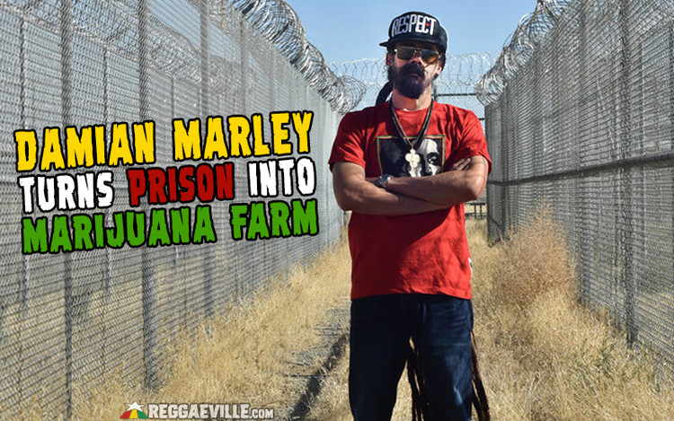 Damian Marley Converting Prison into a Marijuana Farm