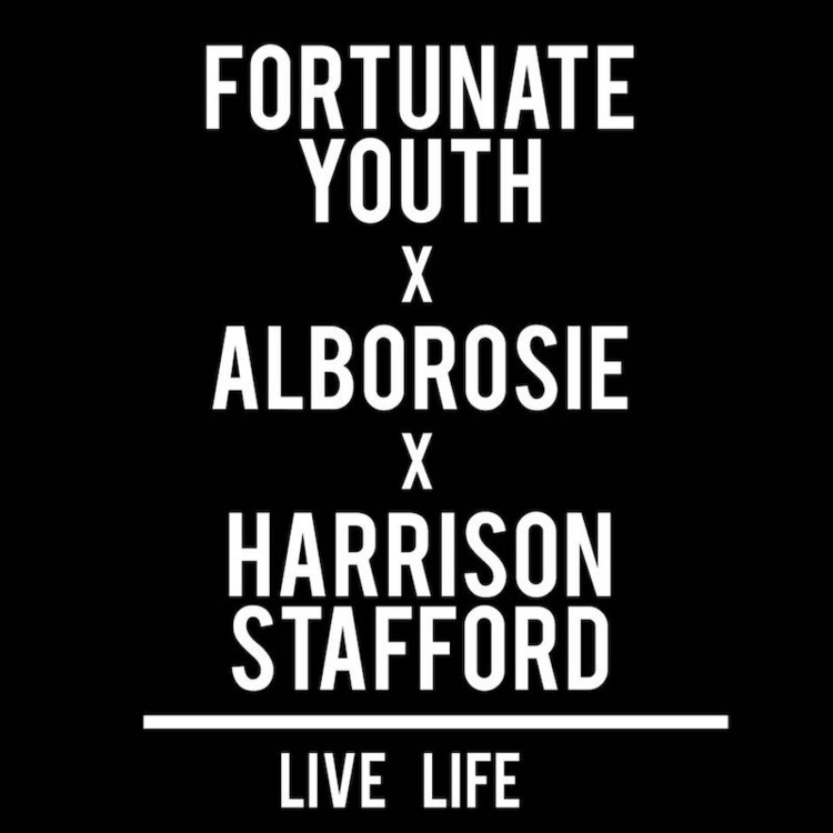Fortunate Youth feat. Alborosie & Harrison Stafford - Live Life