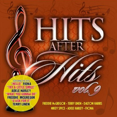 Various Artists - Hits After Hits Vol. 9