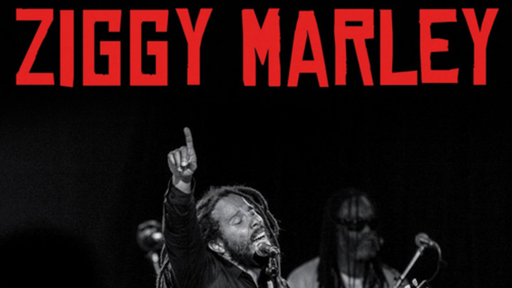 Ziggy Marley in Brussels, Belgium [4/15/2014]