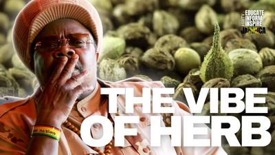 Luciano Explains Why 'Growing Herb Is Just Like Making Music'