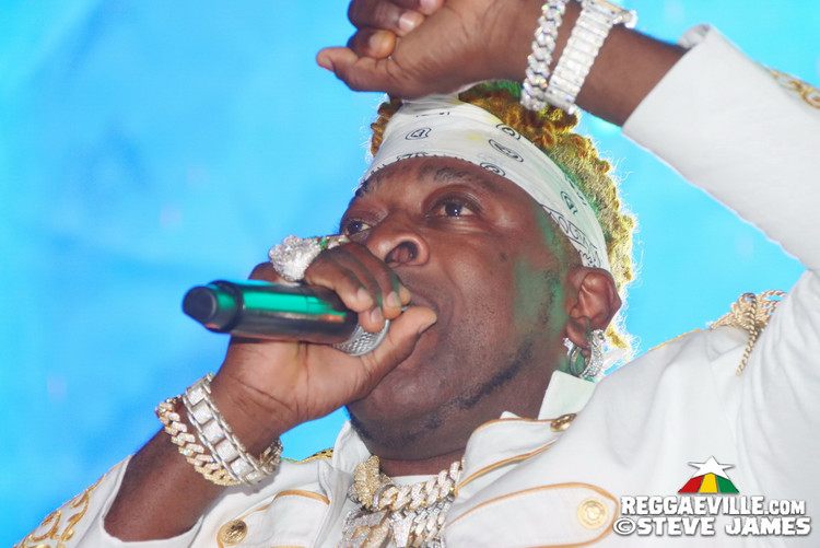 Elephant Man, Capleton, Cham, Louie Culture