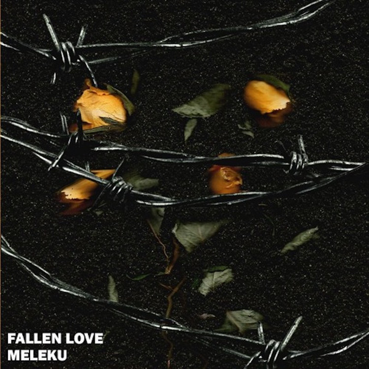 Melekú - Fallen Love