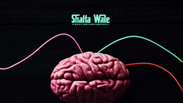 Shatta Wale - Brain Wire [10/26/2020]