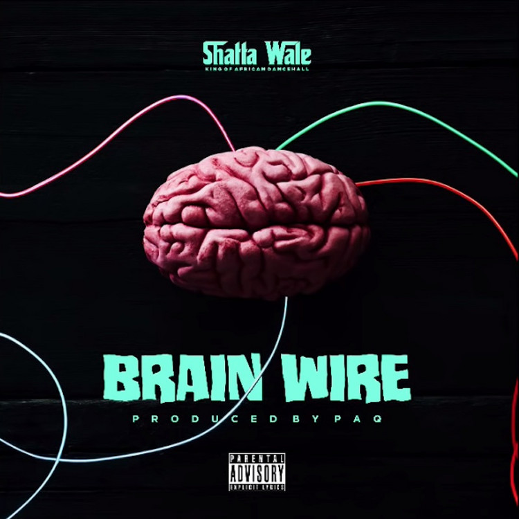 Shatta Wale - Brain Wire
