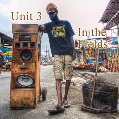 Unit 3 - In The Fields