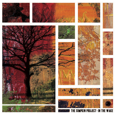 Simpkin Project - In The Wake