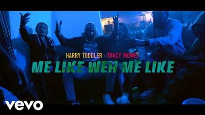 Harry Toddler feat. Tracy Mowet - Like Weh Me Like
