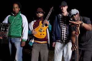 Roots Harmonics