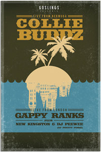 Collie Buddz 11/6/2011