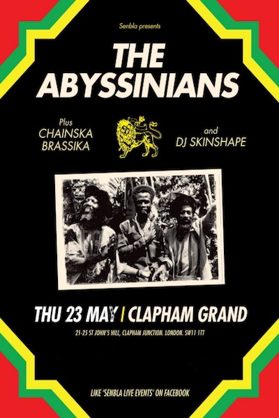 Abyssinians 5/23/2013