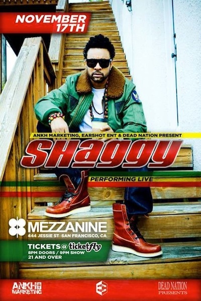 Shaggy 11/17/2013