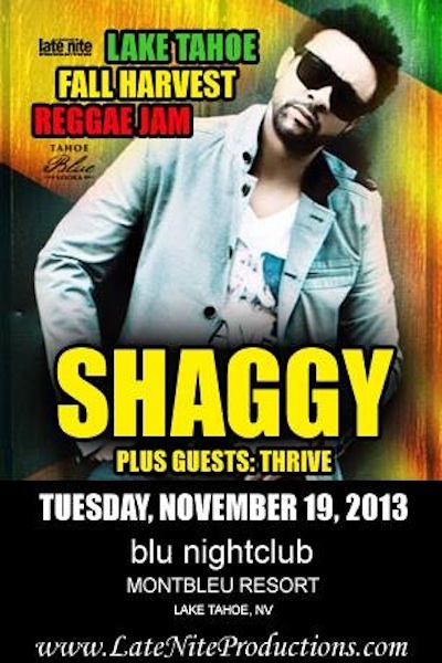 Shaggy 11/19/2013