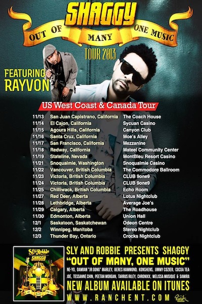 Shaggy 11/23/2013