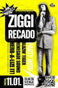 Ziggi Recado 01/11/2013