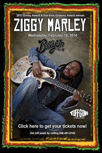 Ziggy Marley 2/19/2014
