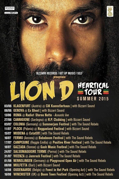 Lion D 7/15/2015