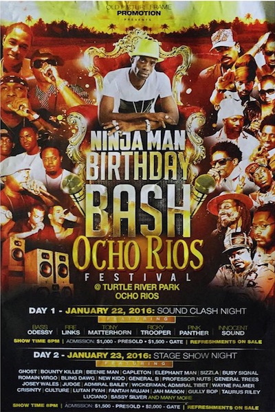 Ninja Man Birthday Bash 2016