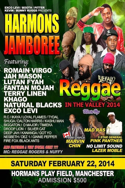 Reggae In The Valley 2014