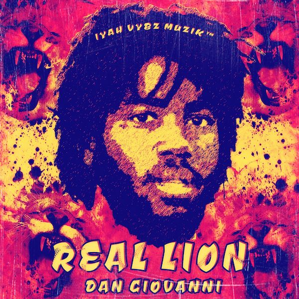 Dan Giovanni - Real Lion