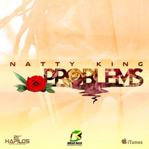 Natty King - Problems