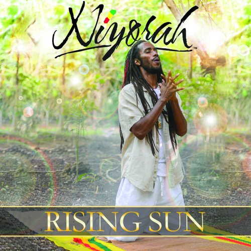 Niyorah - Rain Forest