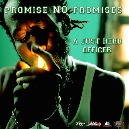 Promise No Promises - A Just Herb Officer