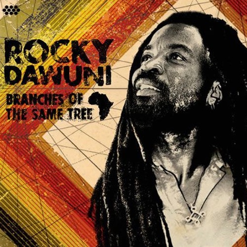 Rocky Dawuni - Shine A Light