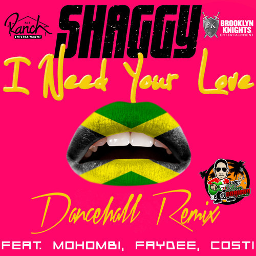 Shaggy - I Need Your Love feat. Faydee, Mohombi & Costi (Dancehall RMX)