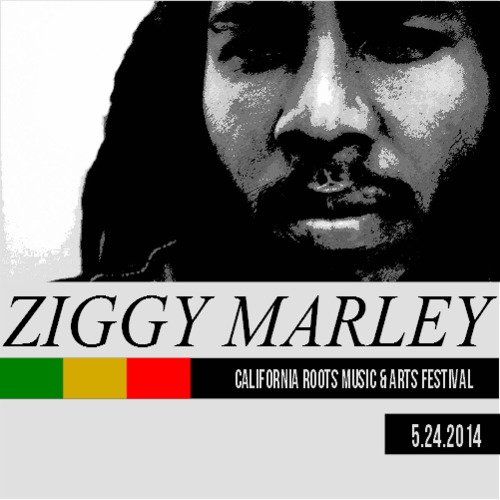 Califesto Music Festival 2014 [DVD] Import