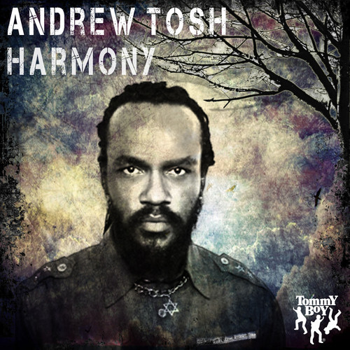 Andrew Tosh & Ky-Mani Marley - Harmony
