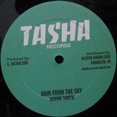 Wayne Smith - Rain From The Sky