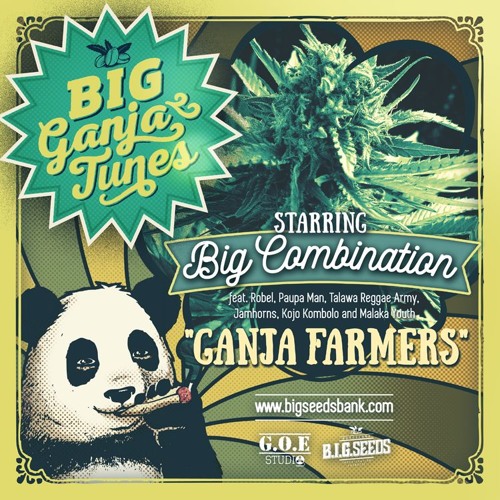 Big Combination - Ganja Farmers