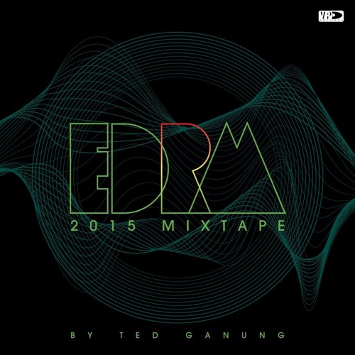 VP Records EDRM 2015 Mixtape by Ted Gadung