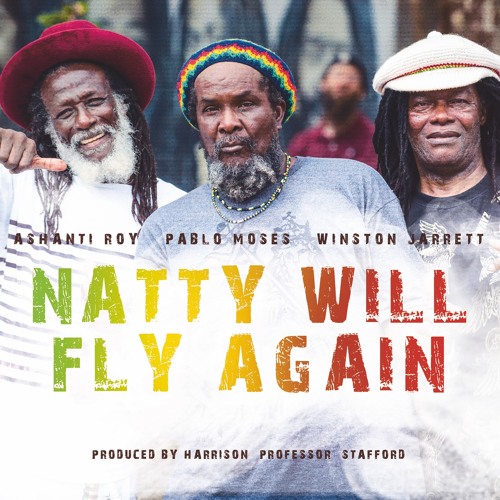 Pablo Moses - Natty Will Fly Again