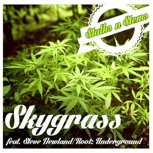 Skygrass feat. Steve Newland - Stalks N Stems