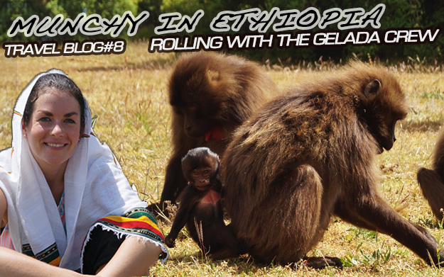 Munchy in Ethiopia - Rolling With The Gelada Crew (Travel Blog #8)