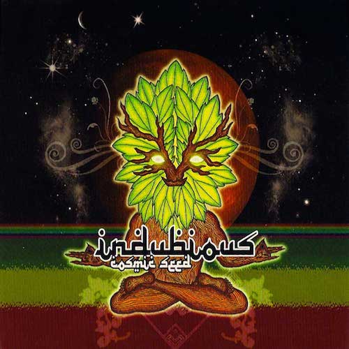 Indubious - Cosmic Seeds