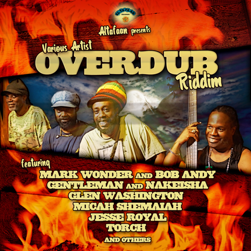 Various Artists - Overdub Riddim
