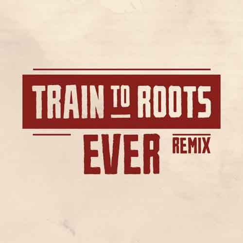 Train To Roots - Ever (UK Steppa Remix)