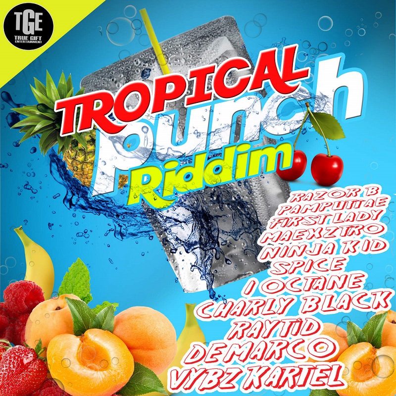 Various Artists - Tropical Punch Riddim