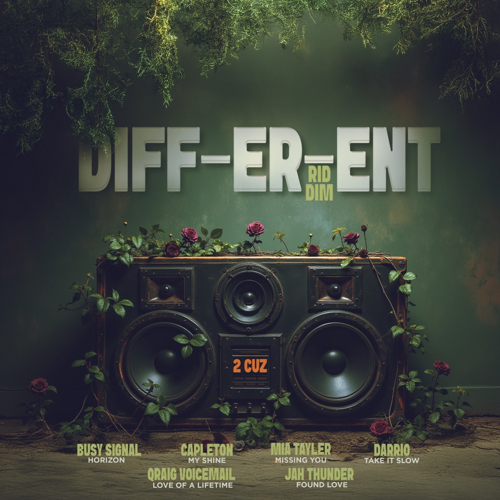 Diff-Er-Ent Riddim