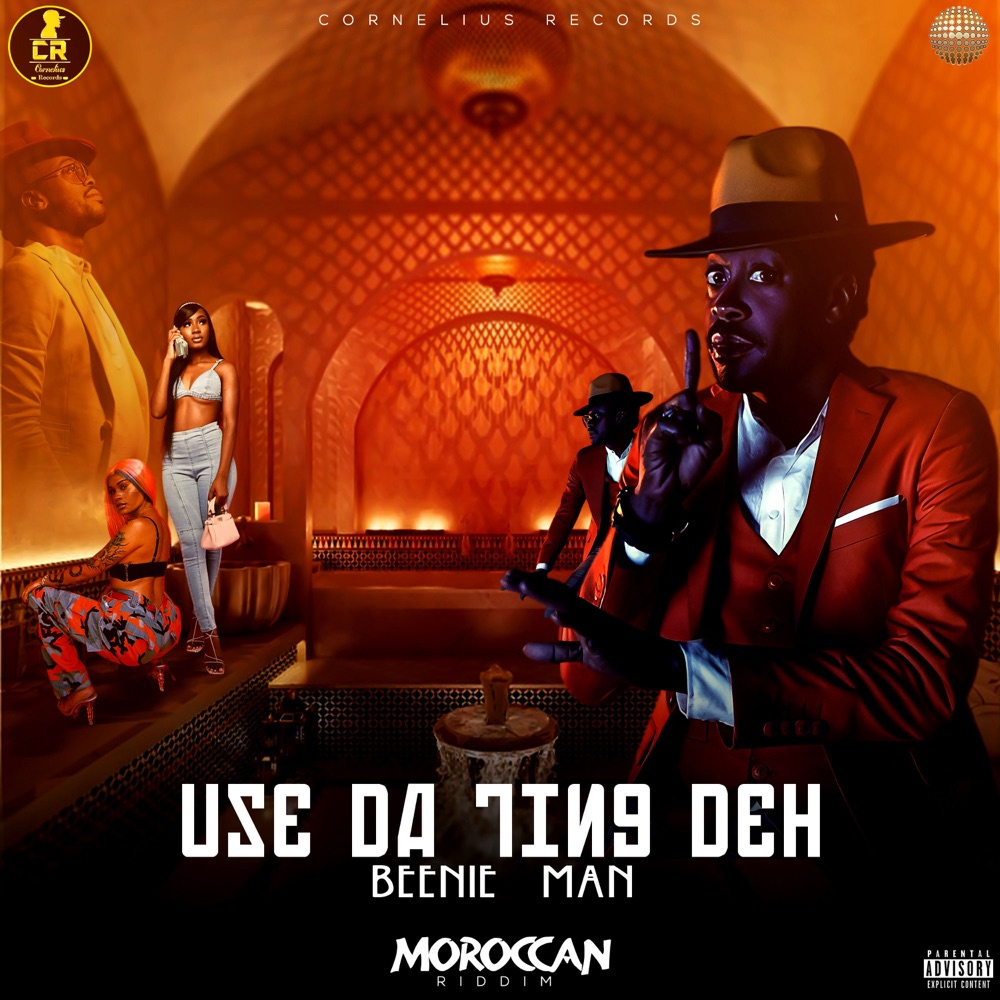 Beenie Man - Use Da Ting Deh