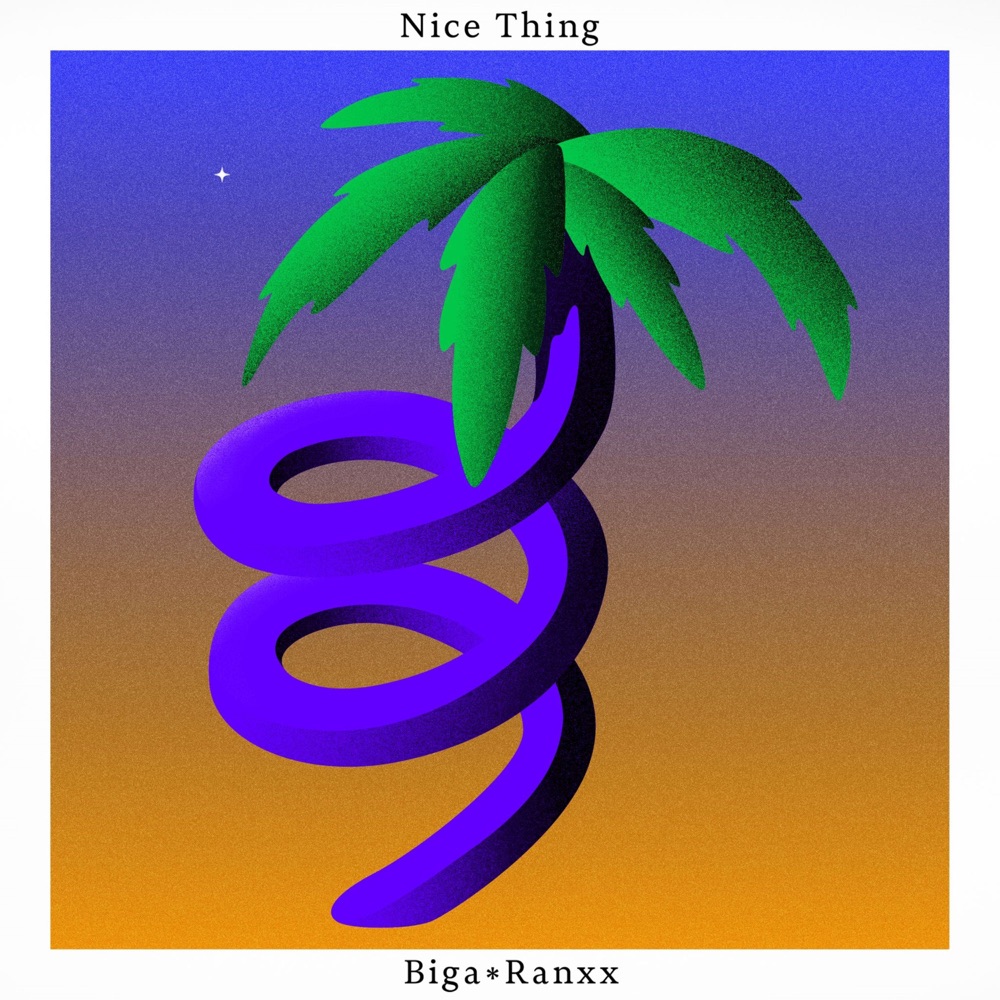 Biga Ranx - Nice Thing